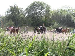 IMG_1203_web